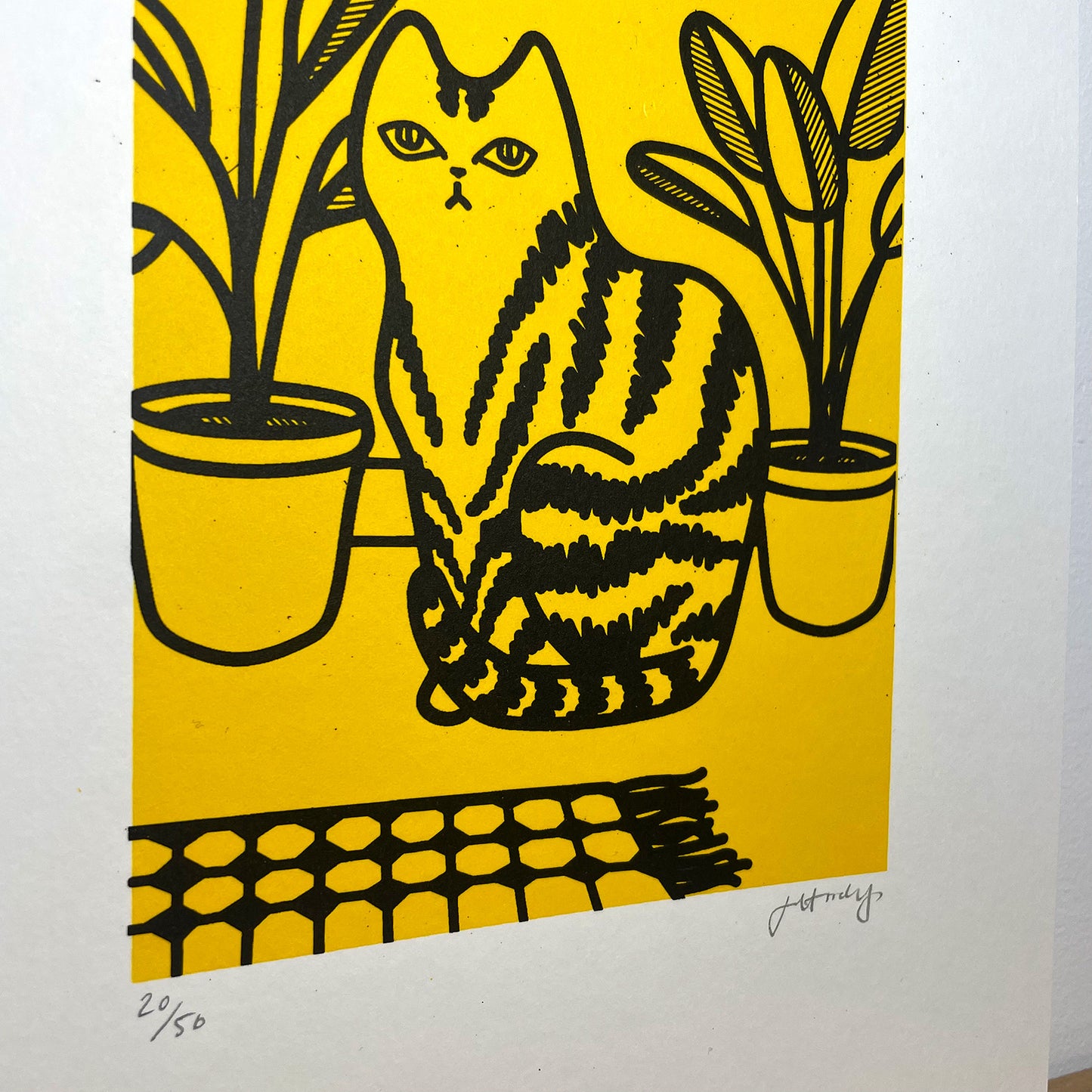 Print: Yellow Cat — by Jade Harding
