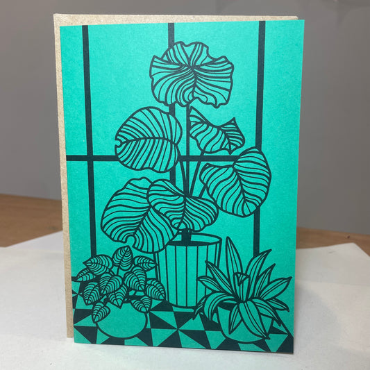 Card: House plant on dark green, by Jade Harding