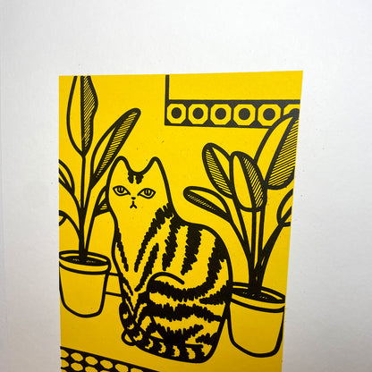 Print: Yellow Cat — by Jade Harding