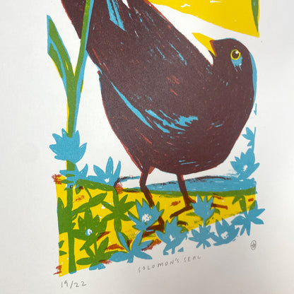 Print: Solomon's Seal — by Pirrip Press